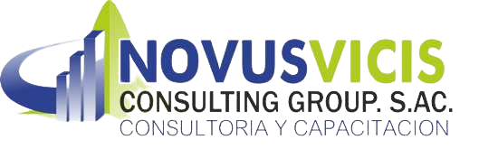 NV Consulting Group 